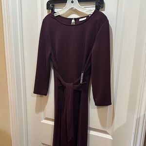 Express Deep Burgundy Long Sleeve Dress